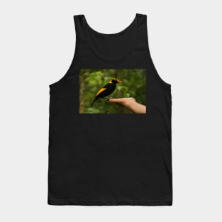 A Regent Bowerbird in the hand is worth two or more photos Tank Top